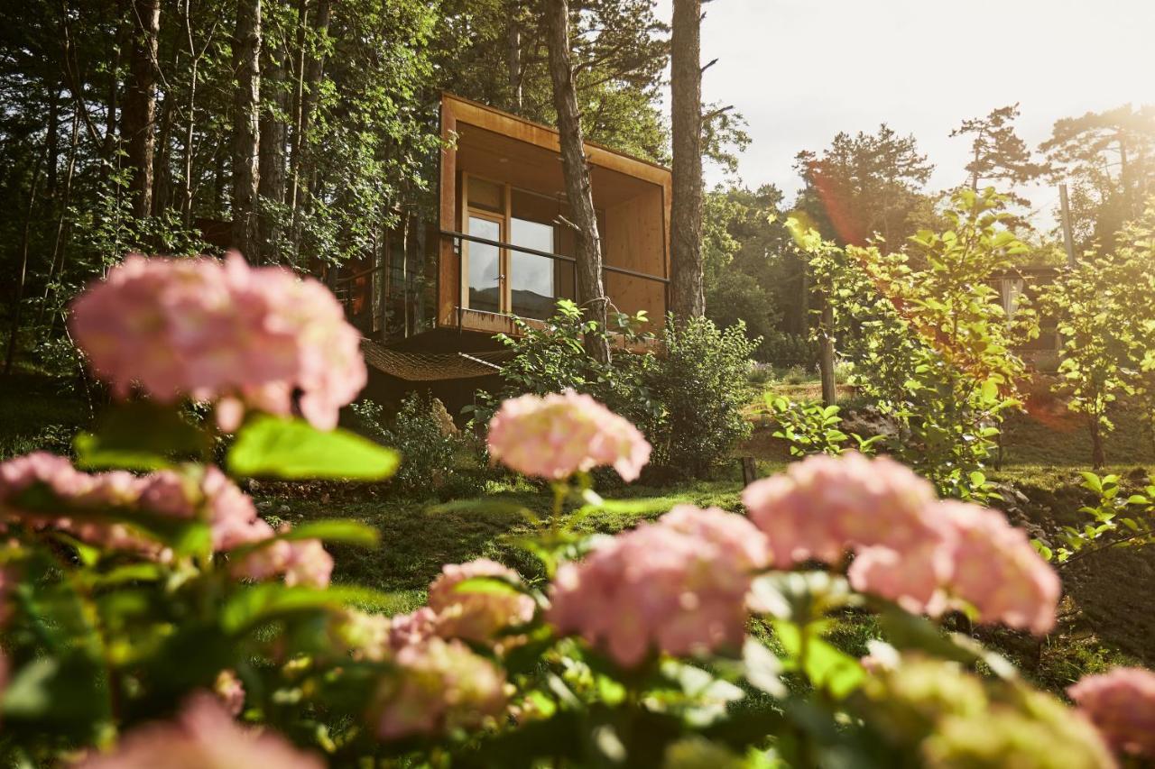 Theodosius Forest Village - Glamping In Vipava Valley Εξωτερικό φωτογραφία