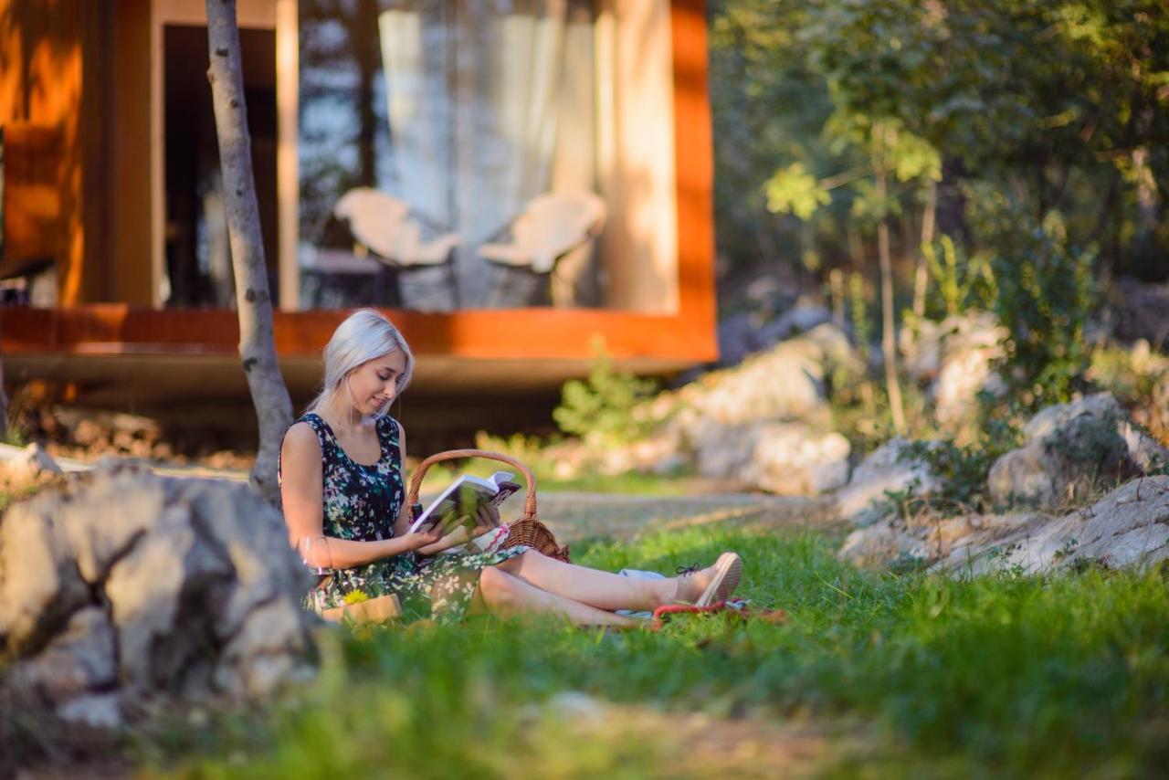 Theodosius Forest Village - Glamping In Vipava Valley Εξωτερικό φωτογραφία